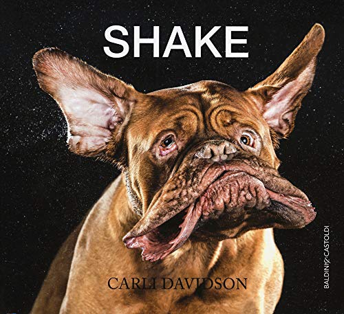 Shake. Ediz. illustrata Shake. Ediz. illustrata von Baldini + Castoldi