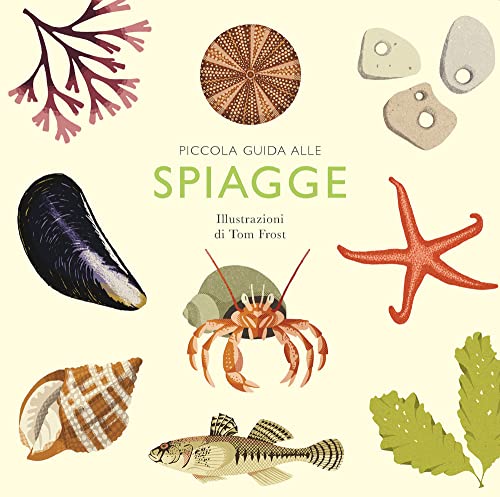 Piccola guida alle spiagge (Nomos illustrati) von Nomos Edizioni