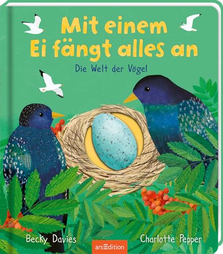 Mit einem Ei fängt alles an: Die Welt der Vögel | Ein erstes Bilderbuch über die Welt der Vögel, mit vielen Klappen, für Kinder ab 3 Jahren
