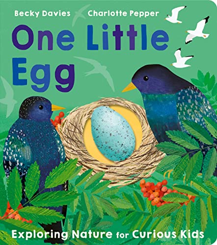 One Little Egg One Little Egg