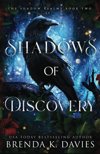 Shadows of Discovery (The Shadow Realms, Band 2) von Independently published