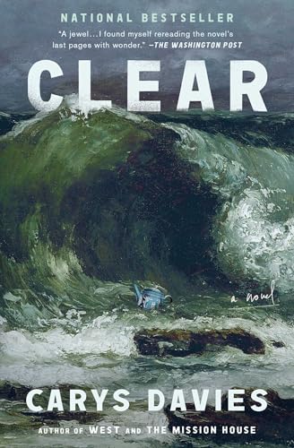 Clear: A Novel Clear: A Novel von Scribner