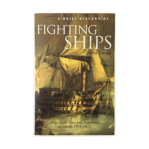A Brief History of Fighting Ships (Brief Histories)