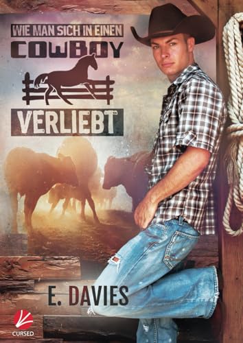Wie man sich in einen Cowboy verliebt (Significant Brothers, Band 6)
