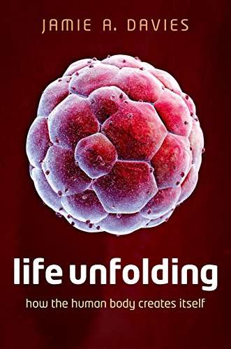 Life Unfolding: How the human body creates itself von Oxford University Press