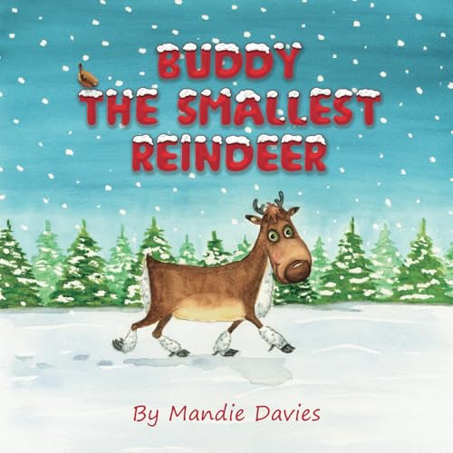 Buddy the Smallest Reindeer von Rowanvale Books Ltd