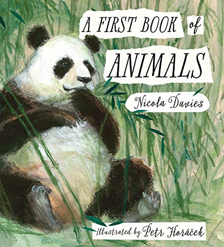 A First Book of Animals A First Book of Animals
