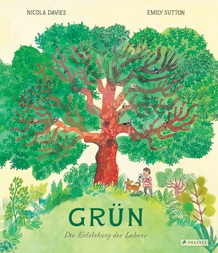 Grün: Die Entstehung des Lebens. Ein Sachbilderbuch für Kinder ab 6 Jahren von Prestel