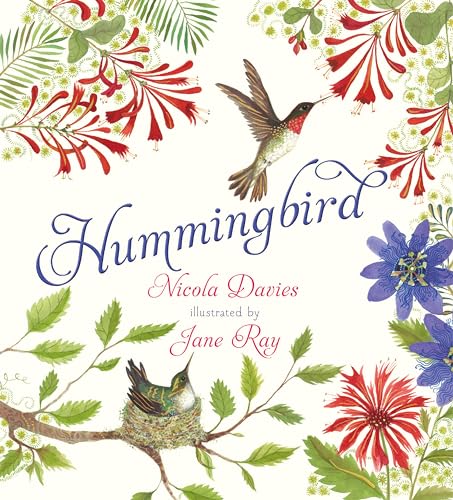 Hummingbird Hummingbird