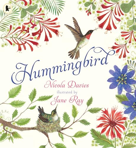 Hummingbird (Nature Storybooks) Hummingbird (Nature Storybooks) von WALKER BOOKS