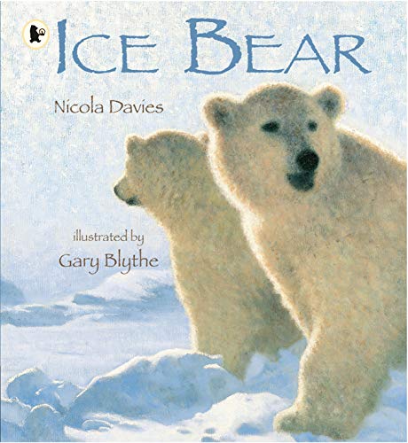 Ice Bear Ice Bear