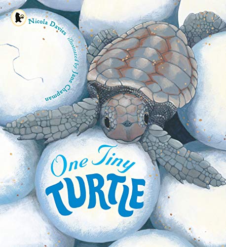 One Tiny Turtle von WALKER BOOKS