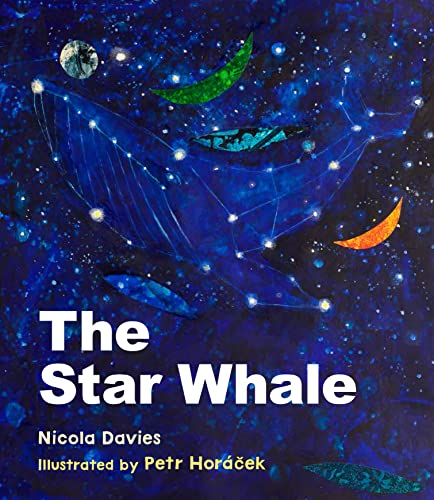 The Star Whale von Otter-Barry Books