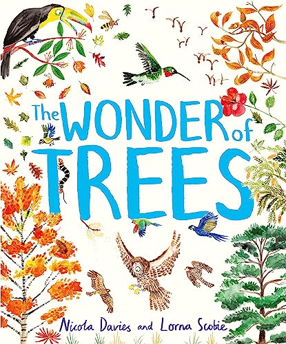 The Wonder of Trees von Hodder Children's Books