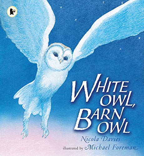 White Owl, Barn Owl (Nature Storybooks)