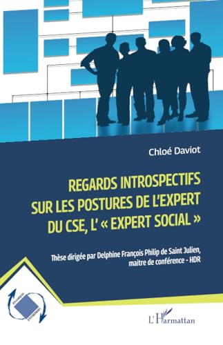 Regards introspectifs sur les postures de l'expert du CSE, l'expert social","