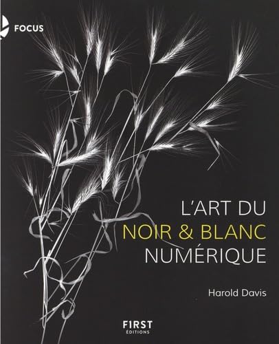 La Photographie en noir et blanc numérique