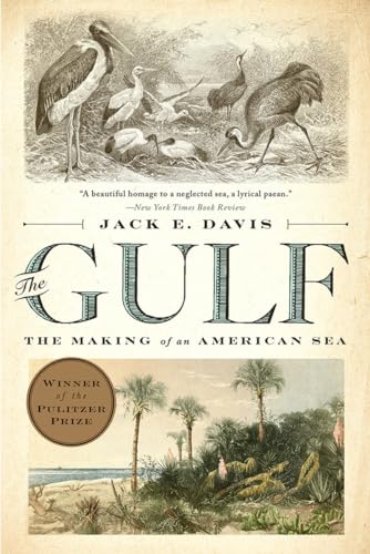 The Gulf: The Making of An American Sea von LIVERIGHT