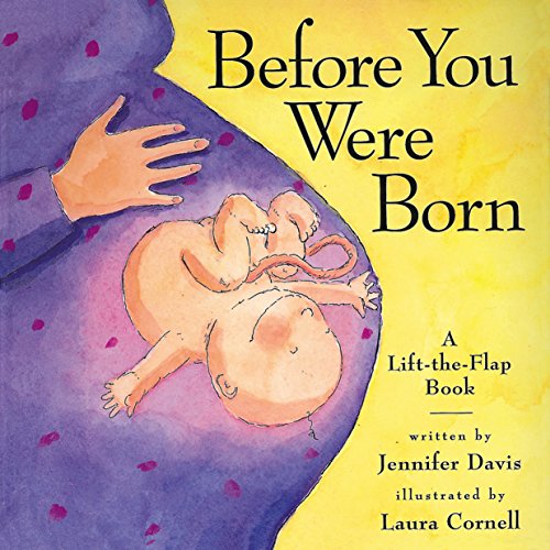 Before You Were Born: A Lift-The-Flap Book