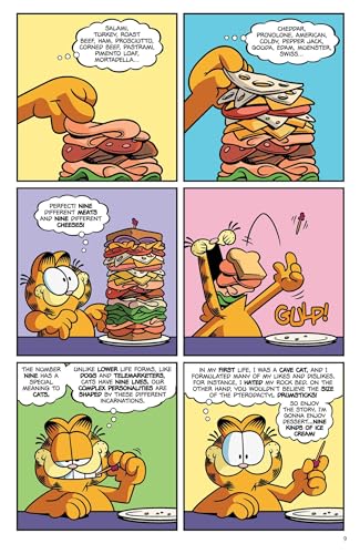 Garfield Full Course Vol. 5 SC (GARFIELD FULL COURSE TP) von Boom Entertainment