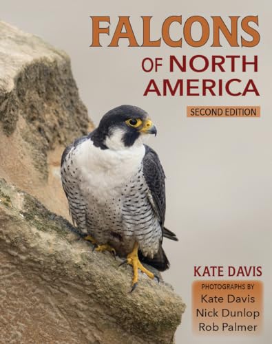 Falcons of North America von Mountain Press