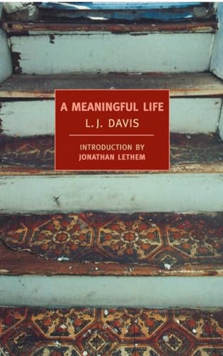 A Meaningful Life: Introduction by Jonathan Lethem (New York Review Books Classics)
