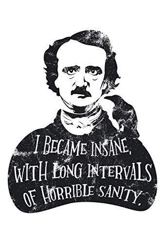 I Became Insane with Long Intervals of Horrible Sanity: Edgar Allan Poe Notebook von Independently Published