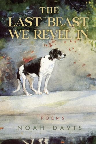 The Last Beast We Revel in (Emerging Voices) von CavanKerry Press