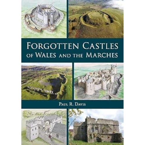 Forgotten Castles of Wales and the Marches von Logaston Press