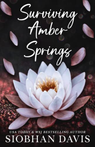 Surviving Amber Springs: A Stand-Alone Contemporary Romance von Independently Published