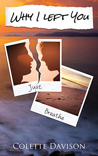 Why I Left You: A Why I Novel