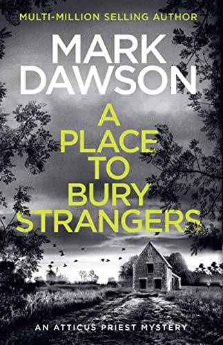 A Place to Bury Strangers (Atticus Priest)