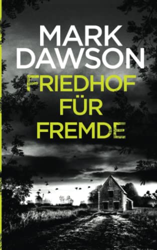 Friedhof für Fremde (Atticus Priest, Band 2)