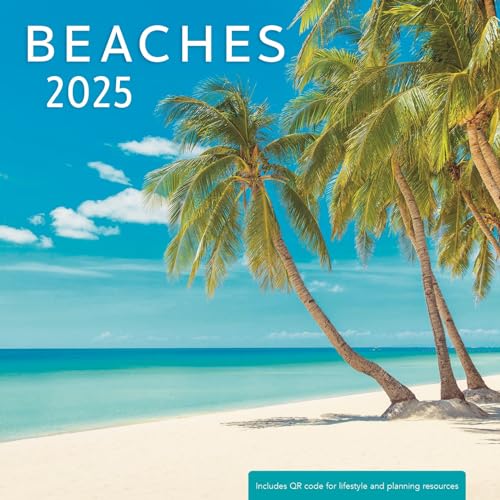 Beaches 2025 Mini Wall Calendar