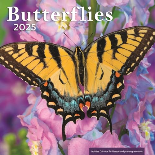 Butterflies 2025 Wall Calendar