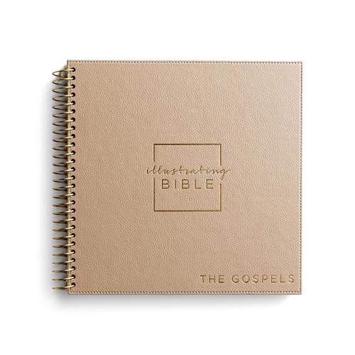 Illustrating Bible NIV: The Gospels (Mathew, Mark, Luke and John)