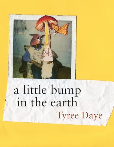a little bump in the earth von Copper Canyon Press