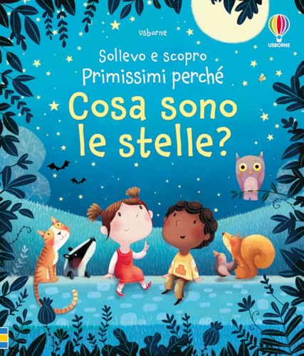 Cosa sono le stelle? (Sollevo e scopro - Primissimi perché) von Usborne Publishing