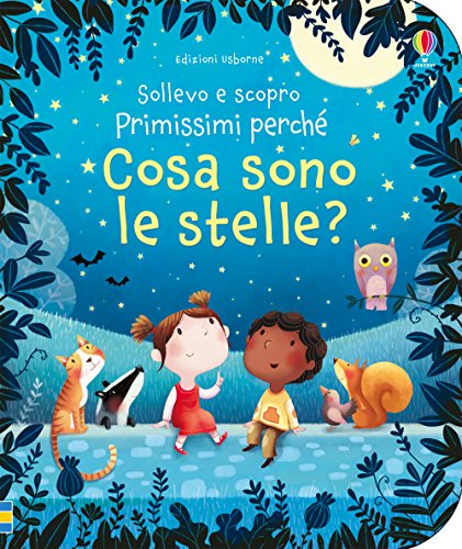 Cosa sono le stelle? (Sollevo e scopro - Primissimi perché)