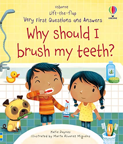 Why Should I Brush My Teeth? (Very First Lift-the-Flap Questions and Answers): 1 (Very First Questions and Answers)