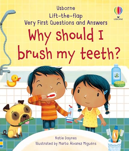Why Should I Brush My Teeth? (Very First Lift-the-Flap Questions and Answers): 1 (Very First Questions and Answers) von Usborne Publishing