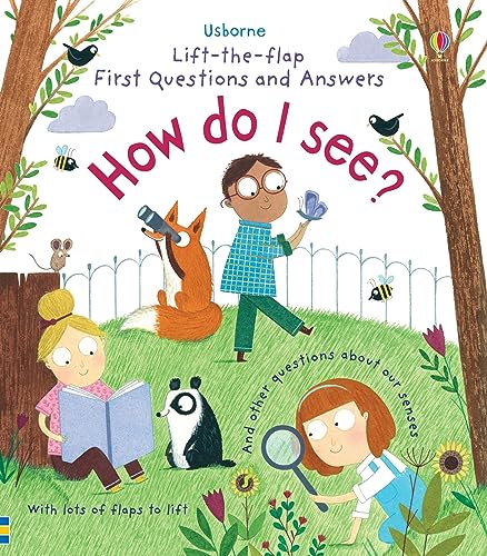 Lift-the-Flap First Questions & Answers How Do I See? (Lift-the-Flap First Questions and Answers): 1 von Usborne Publishing Ltd