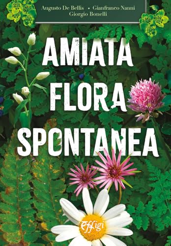 Amiata flora spontanea Amiata flora spontanea von C&P Adver Effigi