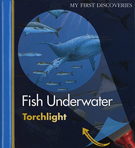 Fish Underwater (My First Discoveries Torchlight)