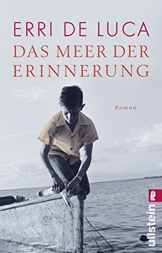 Das Meer der Erinnerung: Roman
