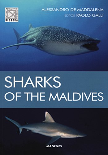 Sharks of the maldives (Blu natura) von Addictions-Magenes Editoriale