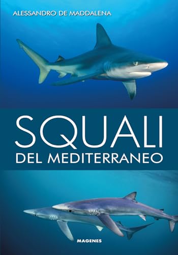 Squali del Mediterraneo. Ediz. illustrata (Blu natura) von Magenes