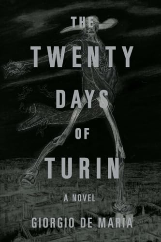 The Twenty Days of Turin: A Novel von LIVERIGHT