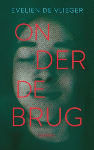 Onder de brug von Querido