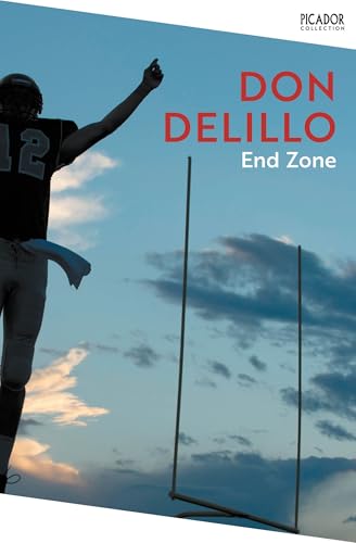 End Zone: Don Delillo (Picador Collection) von Picador